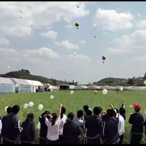 携劳动之花，筑青春之梦