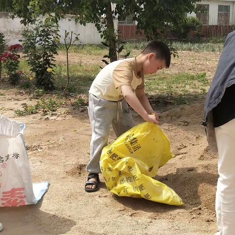 防汛演练，防患未然！红花镇肖六小学