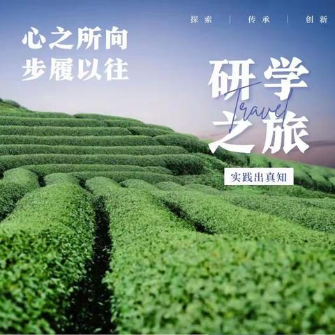 淡淡的茶的美篇