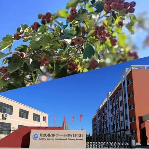 兰陵县第十一小学梯级发展之语文集体备课听评课活动