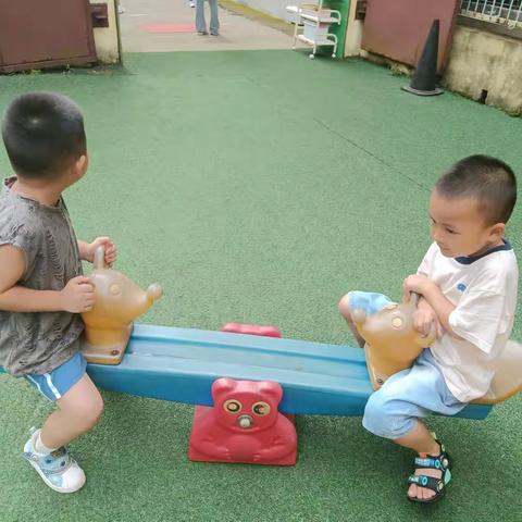 小太阳幼儿园中班 7.17—7.23一周美好时光