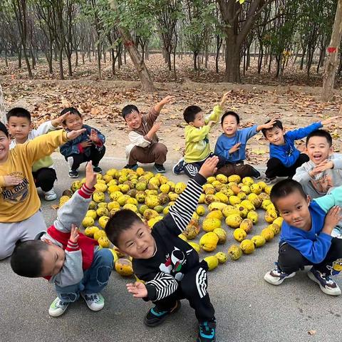 邂逅秋天·快乐“童”行——孤岛光明幼儿园中班“趣”秋游活动🍂