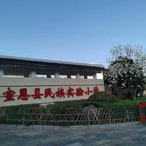 那些短暂而又美好的回忆