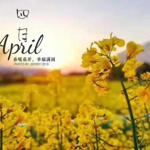 最美四月天，不负好时光——四月再见，五月你好🌼🌼