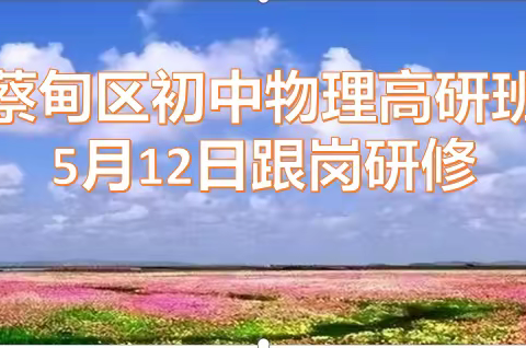 蔡甸区初中物理高研班5月12日跟岗培训