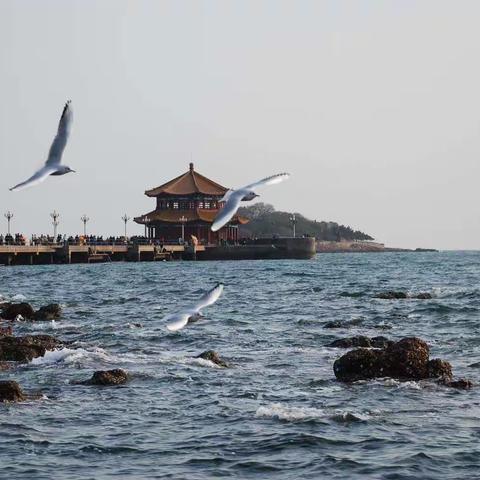 泗水天元旅行社有限公司