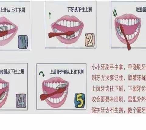 暑假打卡记.我会刷牙、洗脸