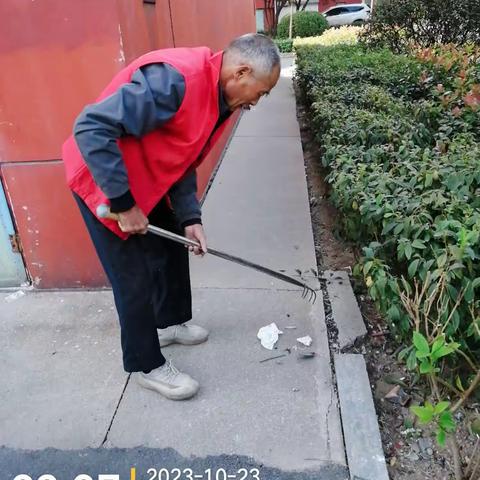 2023年10月工作总结