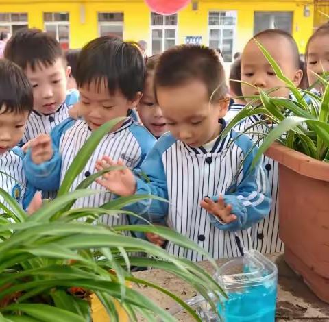 中国人民解放军第四八零一工厂幼儿园   华船三班  生成主题活动——《有趣的蚂蚁》