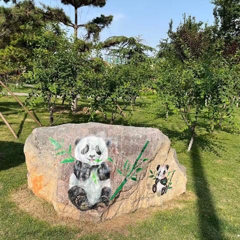 国宝来啦！