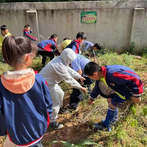 柏祥小学——争做“劳动小能手”主题活动