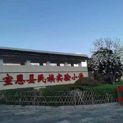 小学回忆录