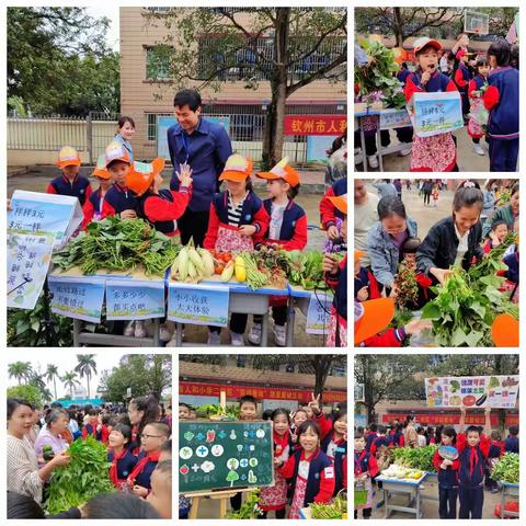 “勤种乐收获，勇销趣成长”——人和小学二校区劳动基地首届蔬菜展销活动