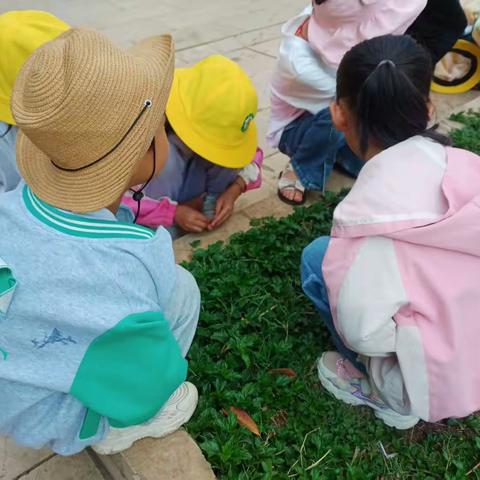 2023年耘艺茗幼儿园大二班六一活动前篇