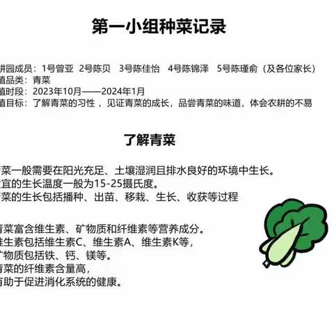 二（1）中队农耕田韵——小青菜长成记