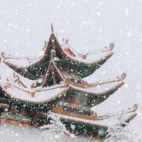 大雪至，天已寒❄️