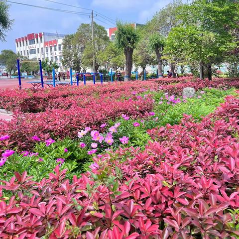 锦时筑梦 青春志成——馆驿一中初三年级毕业典礼