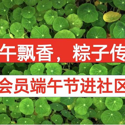 “端午飘香 粽子传情”民建西安市莲湖区北院门支部 携手张家村街办白庙社区进行端午节慰问困难群众活动