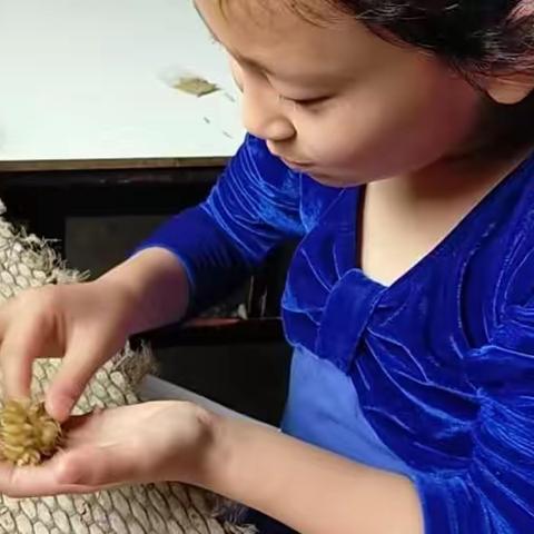 体验劳动之美，共享劳动喜悦——二年级小朋友周末家务活动大比拼