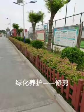 人勤春来早，护绿正当时——开封市体育运动学校（开封市体育中学）校园绿化养护进行中