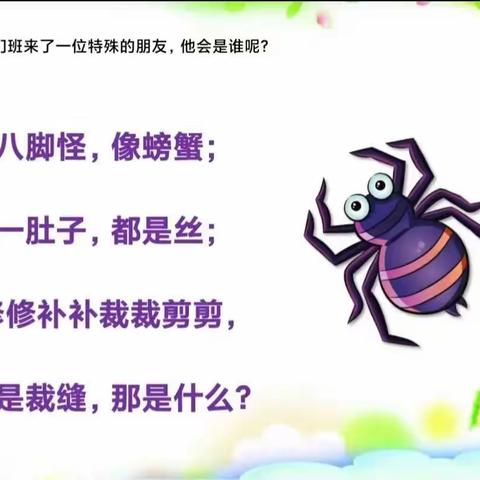 《蜘蛛》——君乐苑幼儿园美术组（昆虫篇）