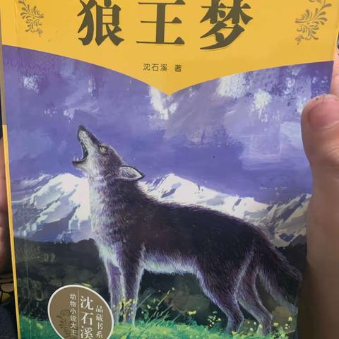 东盛小学四年六班陈楚涵《小小读书会》第182期