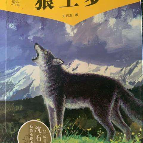 东盛小学四年六班陈楚涵《小小读书会》第184期