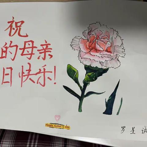 宏宇中学2208班劳动实践之——“我为妈妈做件事”感恩活动