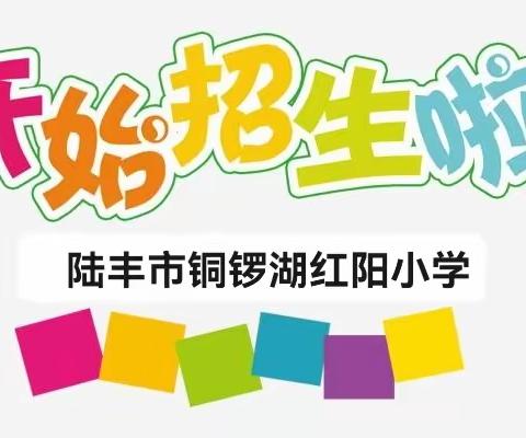 陆丰市铜锣湖红阳小学2024年秋季一年级新生预报名公告