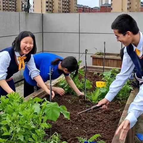 2209班生态种植小分队“梦想菜园”纪实频道