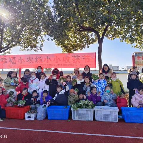 幸福小农场  快乐伴成长 ——状元坊小学双塘路校区第一届小小收获节掠影