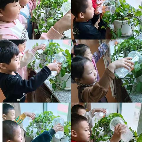双榆树中心校幼儿园大一班“我和春天的劳动派对"“感恩母亲，今天我当家”一主题活动