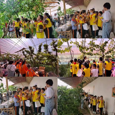 弘扬劳动精神 争做时代新人    ———     东风路小学三（7）中队劳动实践活动