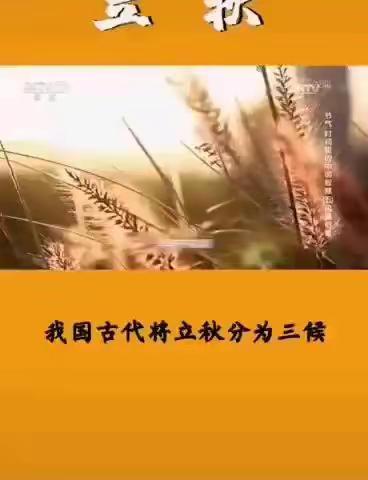 “夏未央，秋已至”——汉台区启慧世纪城幼儿园立秋美篇