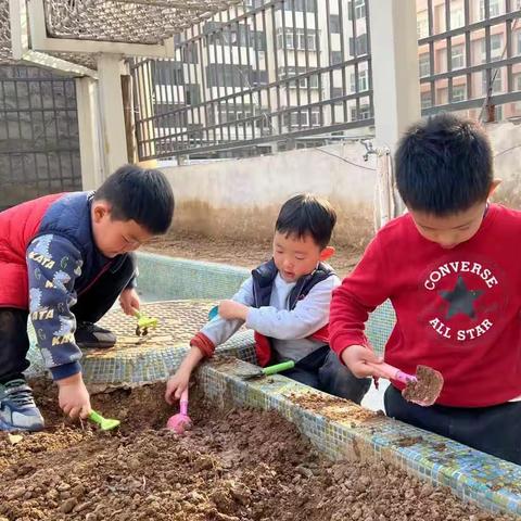 悉尼班班本课程—春日长啊长