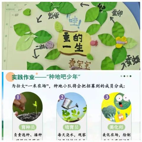 创新课堂融素养，四化教研展成果——卢氏县初中生物构建“四化”教研格局，阶段“微成果”研讨会