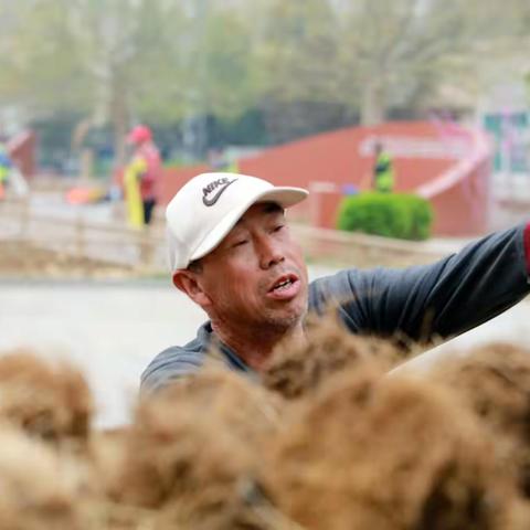 安贞街道在安贞拾光主题广场举办以油菜花景观为核心的综合市集体验活动——“遇∙荐安贞——油菜花集”活