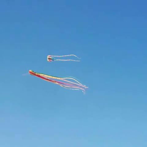 【发现不一样的美】西来村小学————不一样的风景