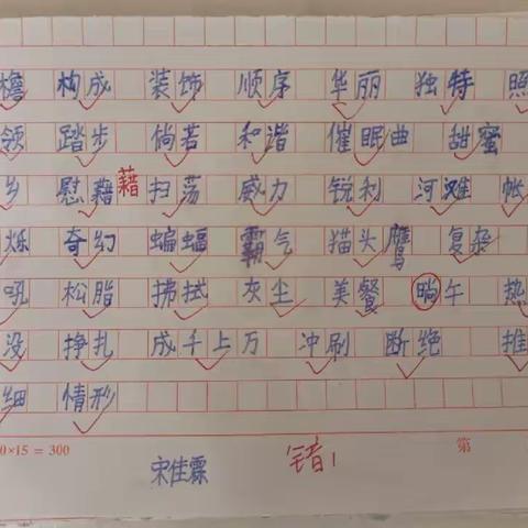 默写生字词情况公示