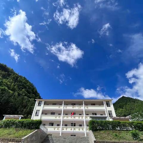 【绿美校园】普弄小学共建绿美校园 提升育人环境