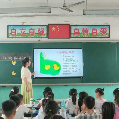 高效课堂工程——孔集乡中心小学一年级语文《小公鸡和小鸭子》