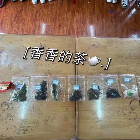 🍃品悠悠茶香，习茶道礼仪🍃——南京书人金色半山幼儿园《春茶》课程故事分享