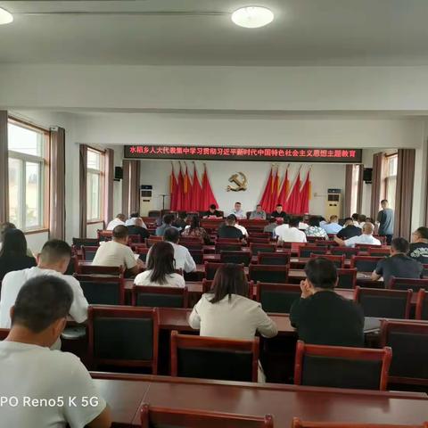 水稻乡人大代表集中学习习近平新时代中国特色社会主义思想