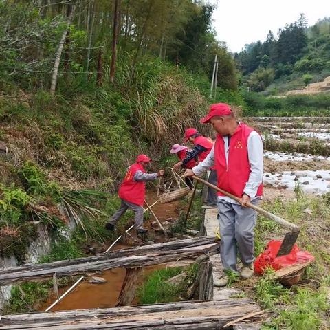 嵩口镇持续开展“护河爱水，清洁家园”行动