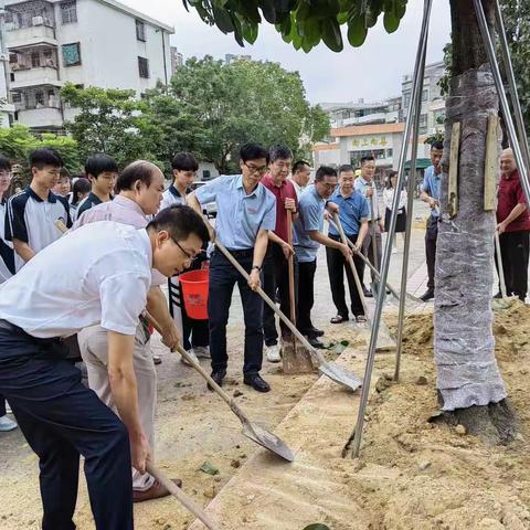 初夏校园添新绿     寄怀母校感师恩——凤洲中学举行知名校友捐赠林木植树活动