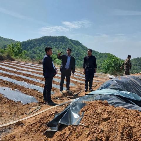 农业农村局持续推进特色产业落地落实