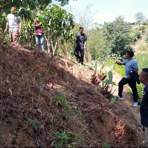 华坪县中心镇兴民社区：持续推进“退林还耕”，牢牢守住耕地保护红线