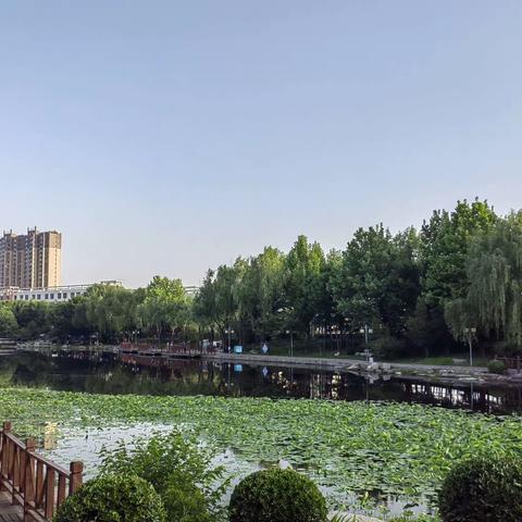 莲花河畔育秀莲     莱康交流结硕果——康乐县附城初中优秀教师赴济南莱芜莲河学校学习交流侧记（一）