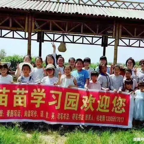 苗苗学习园暑假班与幼小衔接班招生啦！