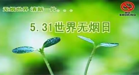 远离烟草，守护健康————和平楼小学“世界无烟日”主题活动